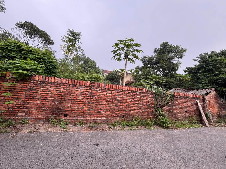 Đất nền Hương Sơn, Bình Xuyên 209m² giá 1.7 tỷ - Vị trí đắc địa gần khu công nghiệp!