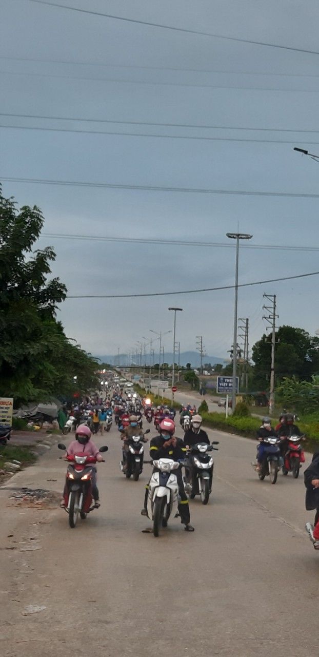 Đất thổ cư Phong Châu, Phú Thọ 300m² giá 1 tỷ - Vị trí trung tâm, đầu tư sinh lời!