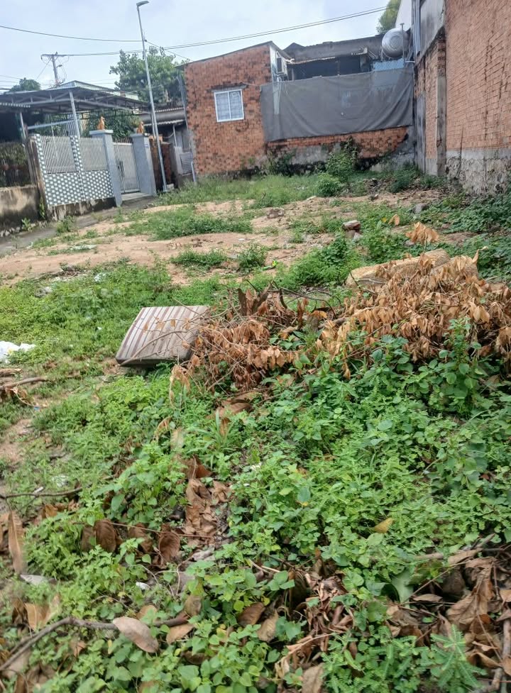 Đất thổ cư Long Hải 90m² giá 1.35 tỷ - Gần biển và trường học!