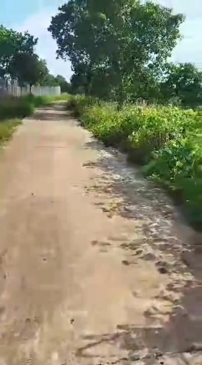 Đất nền mặt tiền 240m² xã Đồng Tâm giá 3.5 tỷ - Đầu tư sinh lời ngay!