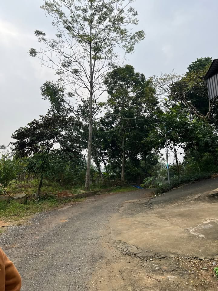 Đất thổ cư Phú Hộ, Phú Thọ 158,6m² giá 1 tỷ - Cơ hội đầu tư hiếm có!