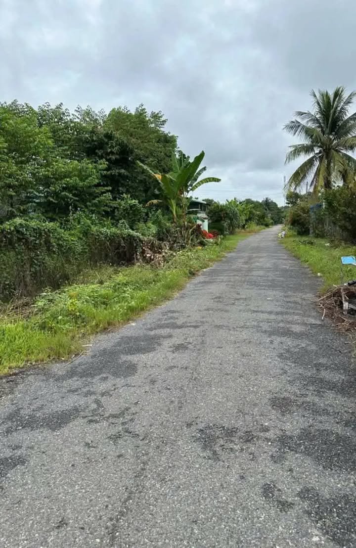 Đất thổ cư đường Phạm Ngọc Thảo, Tân Biên 400m² giá 4 tỷ - Cơ hội đầu tư tuyệt vời!