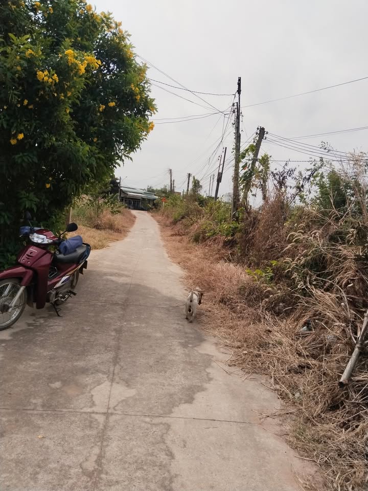 Đất thổ cư 902m² tại Tân Biên, Tây Ninh - Chính chủ bán gấp!