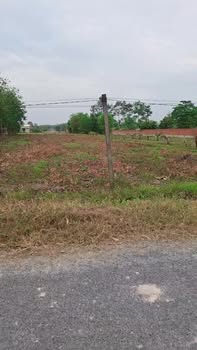 Đất thổ cư Long Chữ Bến Cầu 2217m² giá 1.5 tỷ - Sẵn sàng cho đầu tư!