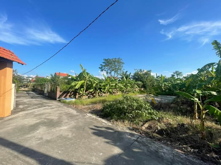 Đất thổ cư Vĩnh Hồng 98m² giá 1 tỷ - Đường lớn ô tô vào tận nơi!