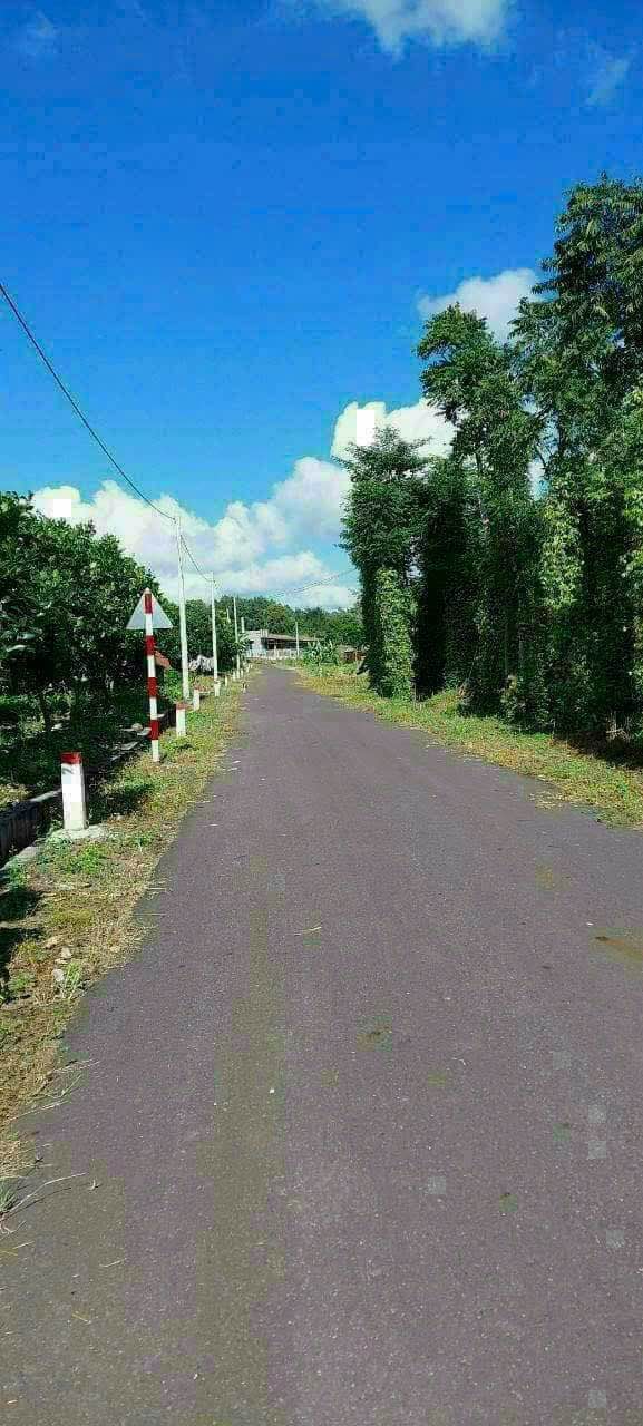 Đất nền Đá Bạc, Châu Đức 600m² chỉ 700 triệu - Cơ hội đầu tư tuyệt vời!