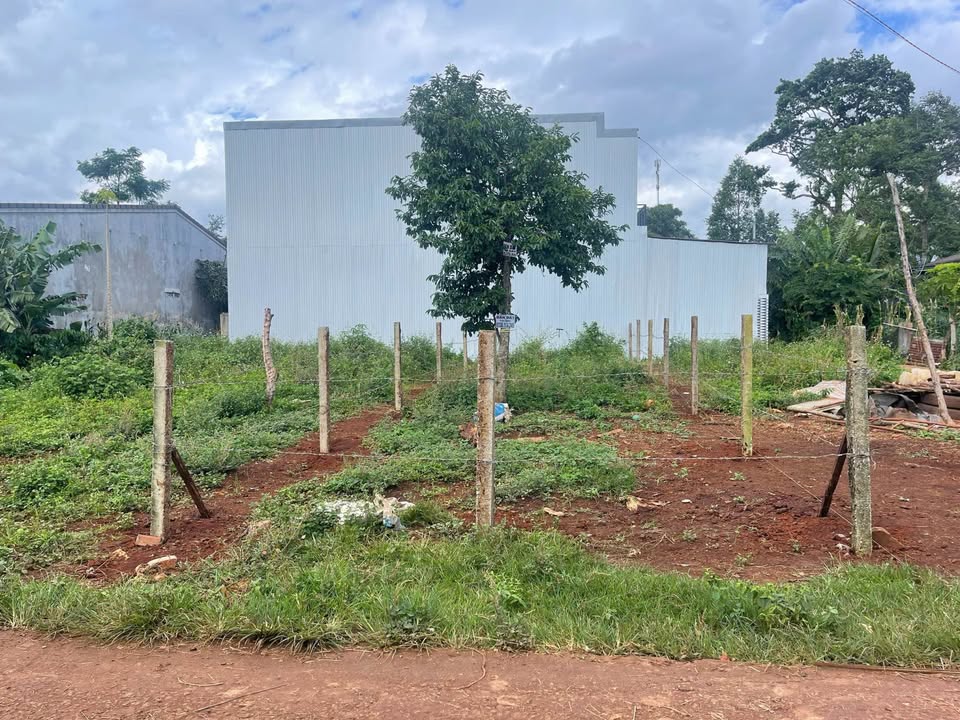 Đất liền kề Buôn Ma Thuột 110m² giá chỉ 1.19 tỷ - Cơ hội đầu tư tuyệt vời!