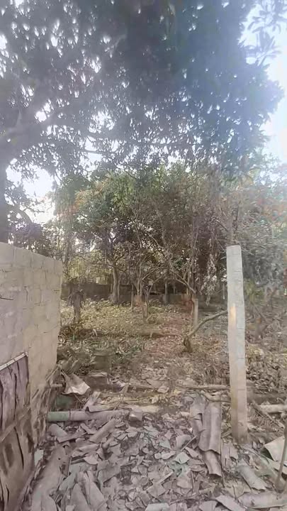 Đất nền 1000m² tại xã Cự Thắng, Phú Thọ - Đầu tư sinh lời cực hấp dẫn!