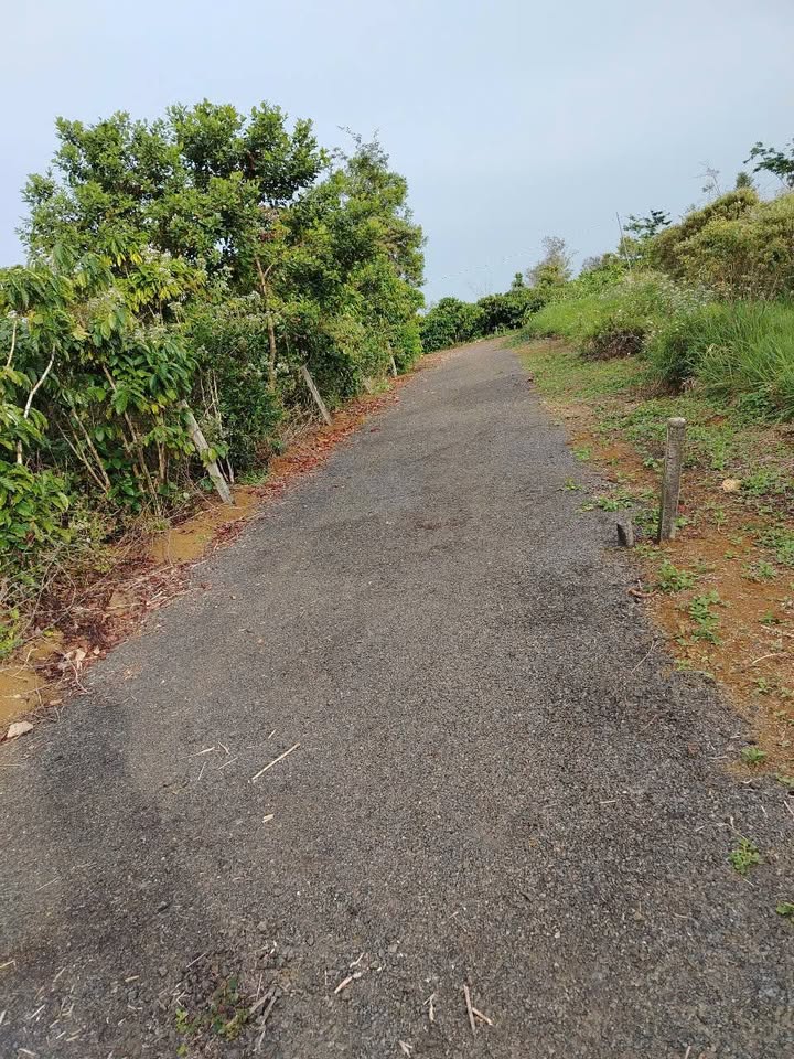 Đất nền Bảo Lộc 162m² giá 1.25 tỷ - Lô đẹp, thổ cư sẵn chờ bạn!