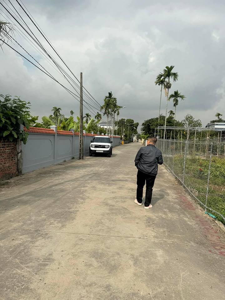 Đất nền Quốc Tuấn An Dương 65m² giá 810 triệu - Lô góc siêu đẹp!