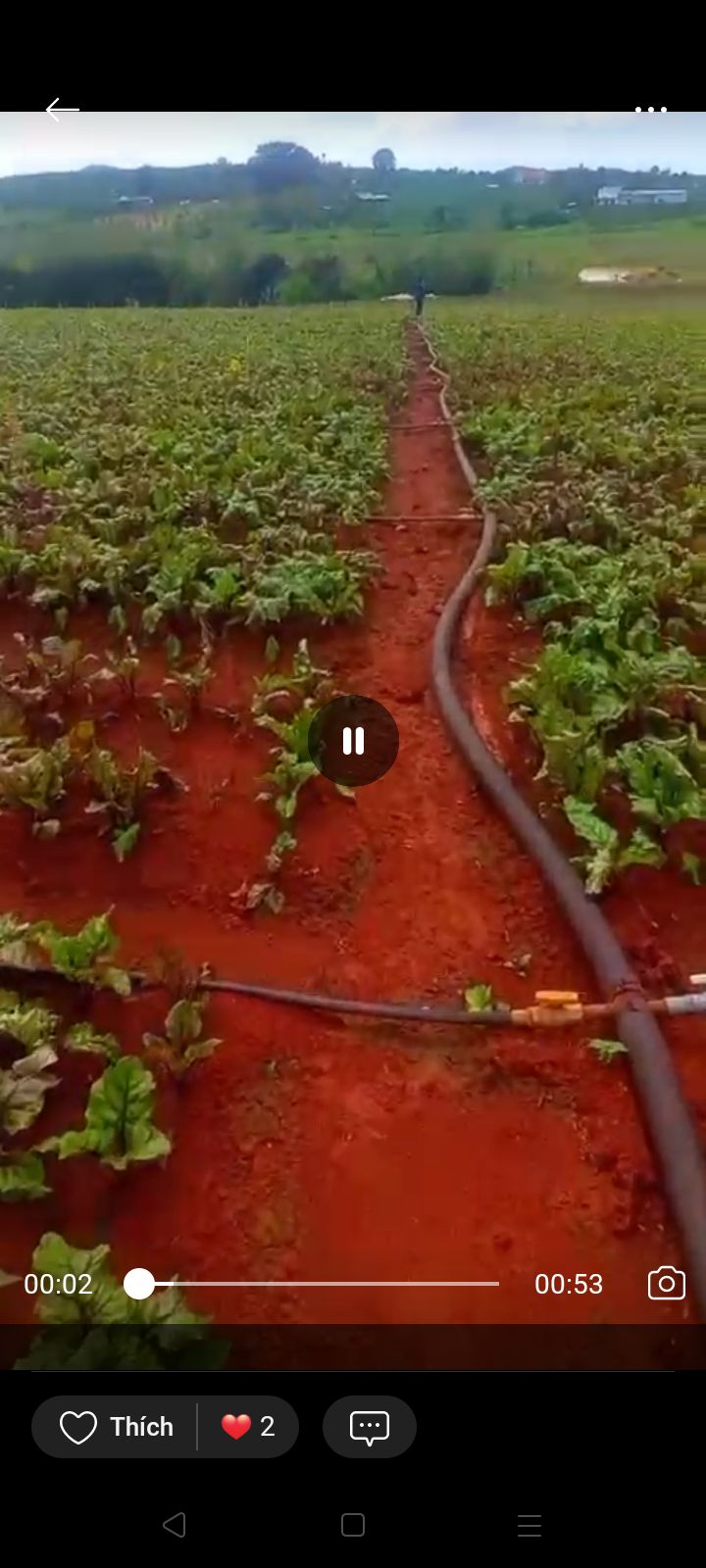 Đất nền Tân Hội - Đức Trọng 5,8 sào giá 3 tỷ - Sổ đỏ chính chủ, view hồ tuyệt đẹp!