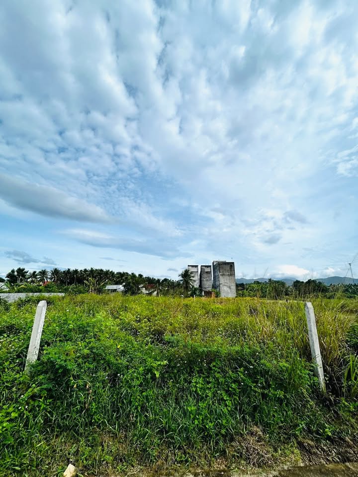 Đất thổ cư 133m² tại Thôn Thanh Minh, Diên Lạc - Giá 1.86 tỷ, hướng Tây!