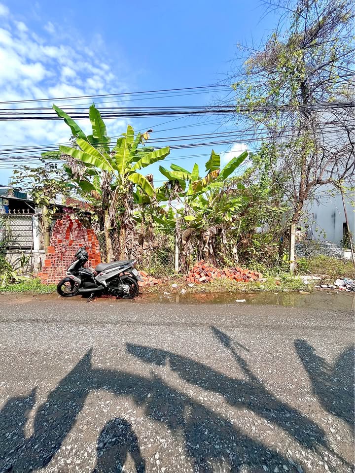 Đất Mặt Tiền Đường Tạ Thị Phi 160,1m² giá 3,1 tỷ - Pháp lý rõ ràng, đầu tư sinh lời!