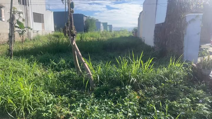 Đất nền An Quý, Phú An, Đak Pơ 350m² giá 750 triệu - Tiềm năng đầu tư cực lớn!