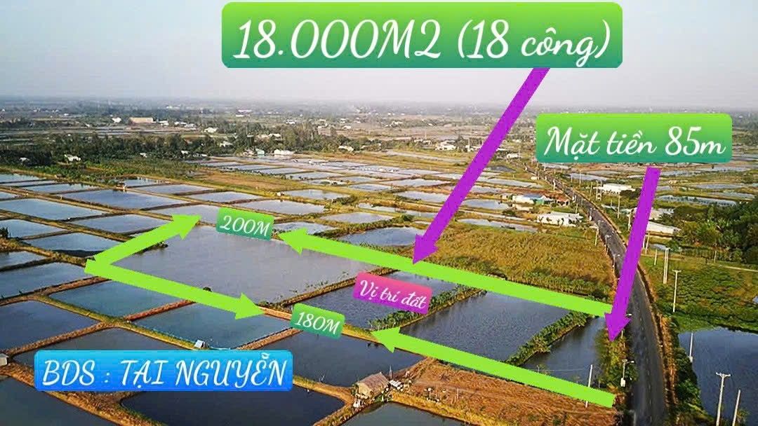 Đất mặt tiền đường Tôm Lúa, Ngọc Đông, Mỹ Xuyên, 18.000m² - Cơ hội đầu tư tuyệt vời!