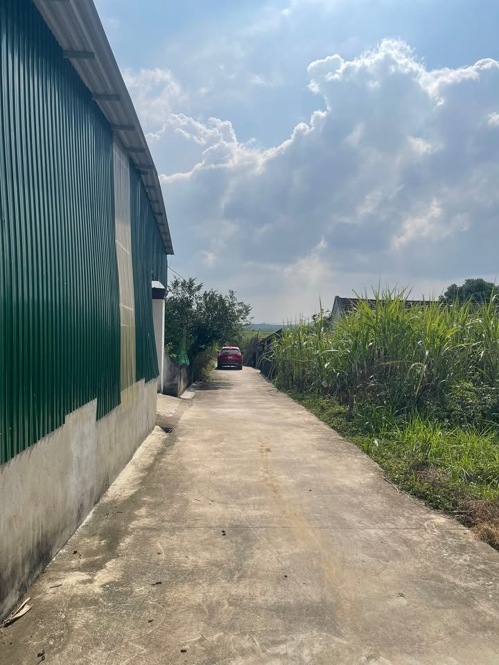 Đất nền Nghĩa Thịnh 483m² giá chỉ 600 triệu - Đầu tư sinh lời ngay!