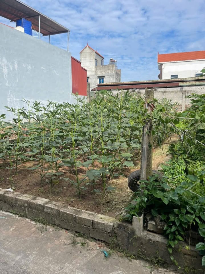 Đất nền Nhị Khê, Thường Tín 40m² giá 2 tỷ - Đón sóng dự án Olympic!