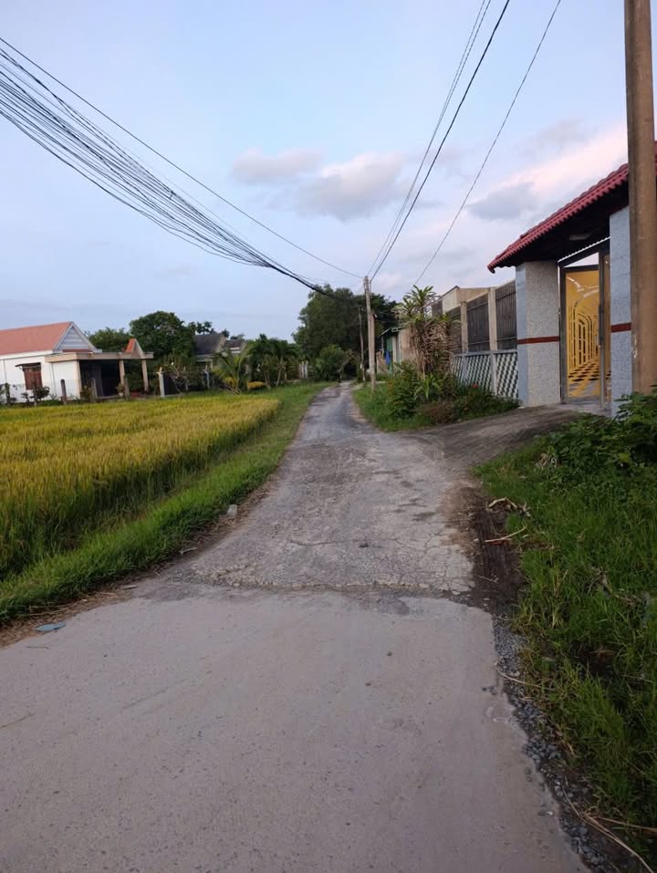 Đất thổ cư 200m² tại Mỹ Hạnh Nam, Đức Hòa - Giá 1.25 tỷ, Sổ hồng chính chủ!