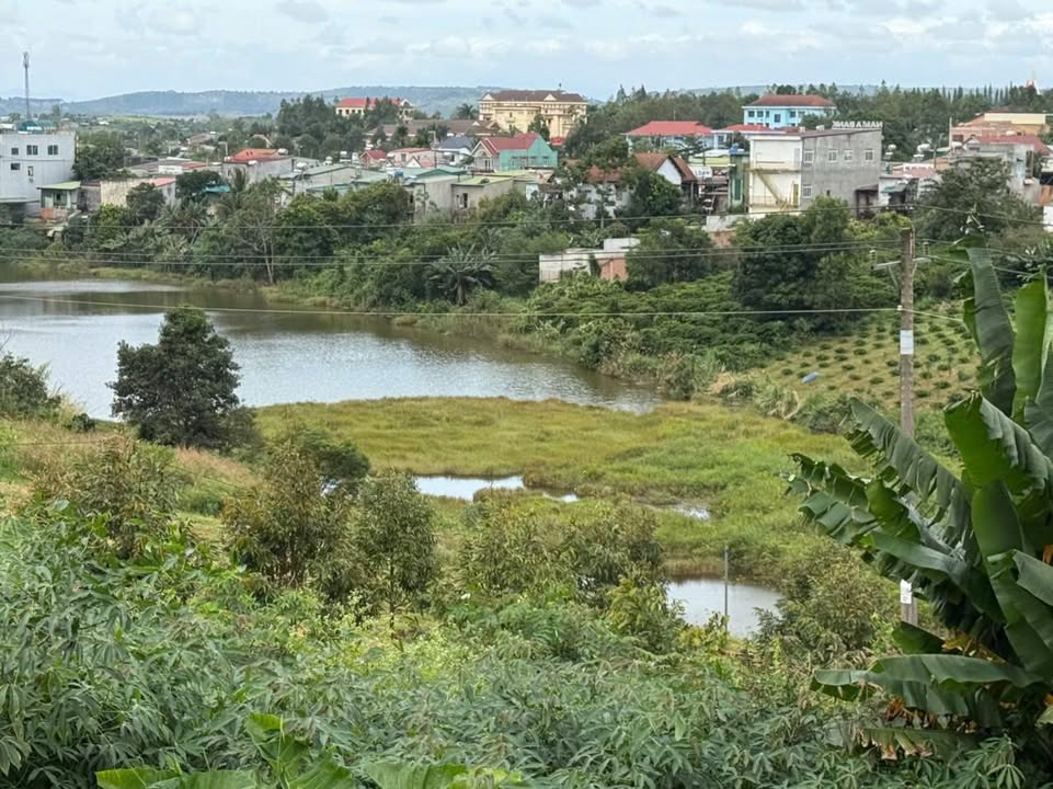 Đất mặt đường bê tông Quảng Khê 3300m² - Chính chủ, view hồ tuyệt đẹp!