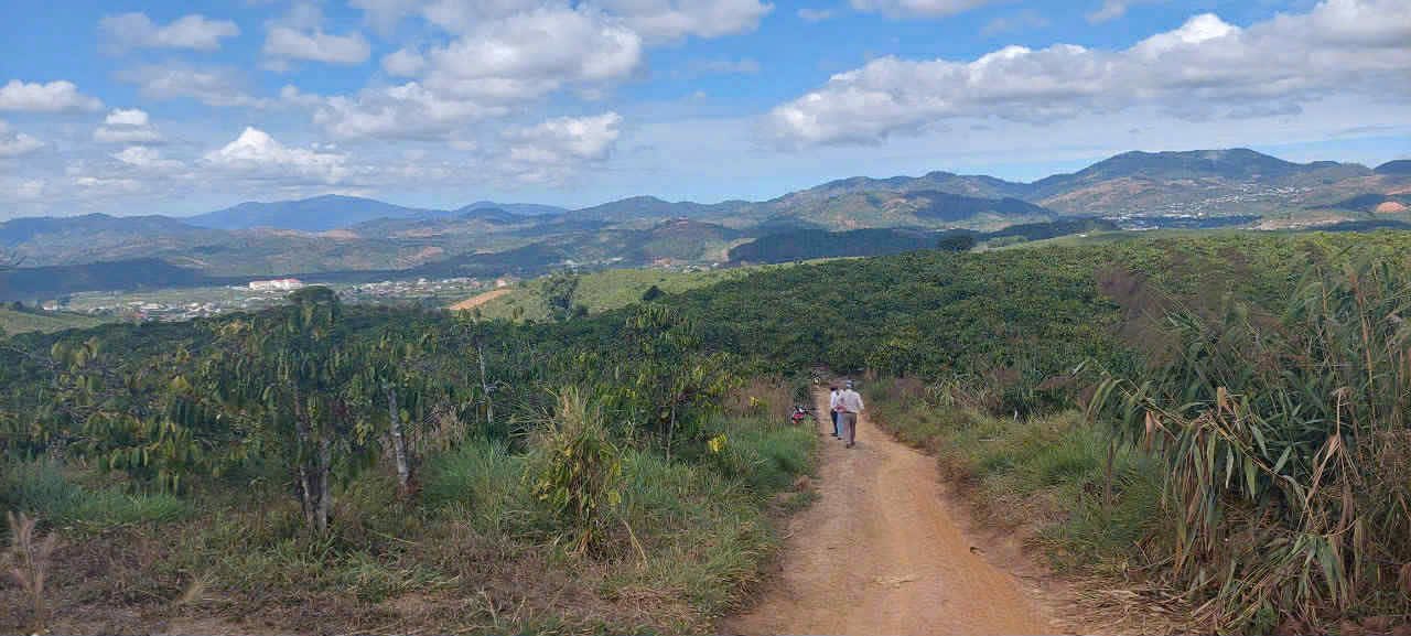 Đất nền Đạ Đờn 5420m² giá 1.36 tỷ - Cơ hội đầu tư hấp dẫn!