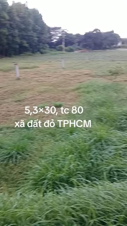 Đất nền Đất Đỏ Bà Rịa - Vũng Tàu 159m² giá 750 triệu - Cơ hội đầu tư tuyệt vời!