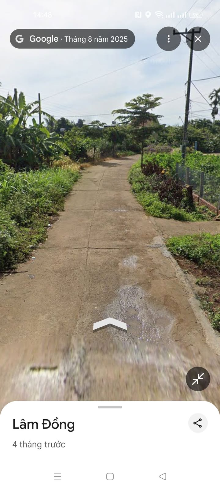 Đất tặng nhà cấp 4 Tân Hội, Đức Trọng - Diện tích 114m² giá chỉ 1 tỷ!