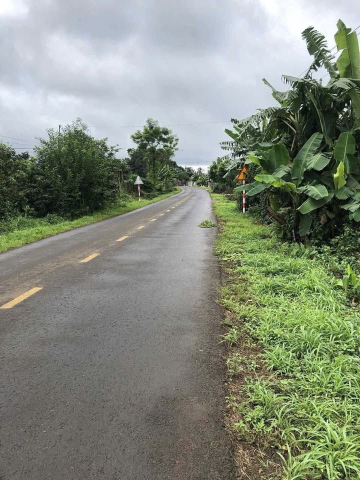 Đất nền Ia Kha, Ia Grai 1600m² giá 55 triệu/m² - Cơ hội đầu tư tuyệt vời!