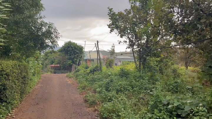 Đất ở lô góc Quốc lộ 14A, Chư Pưh, Gia Lai 300m² - Giá chỉ 45 tỷ VND, thương lượng!