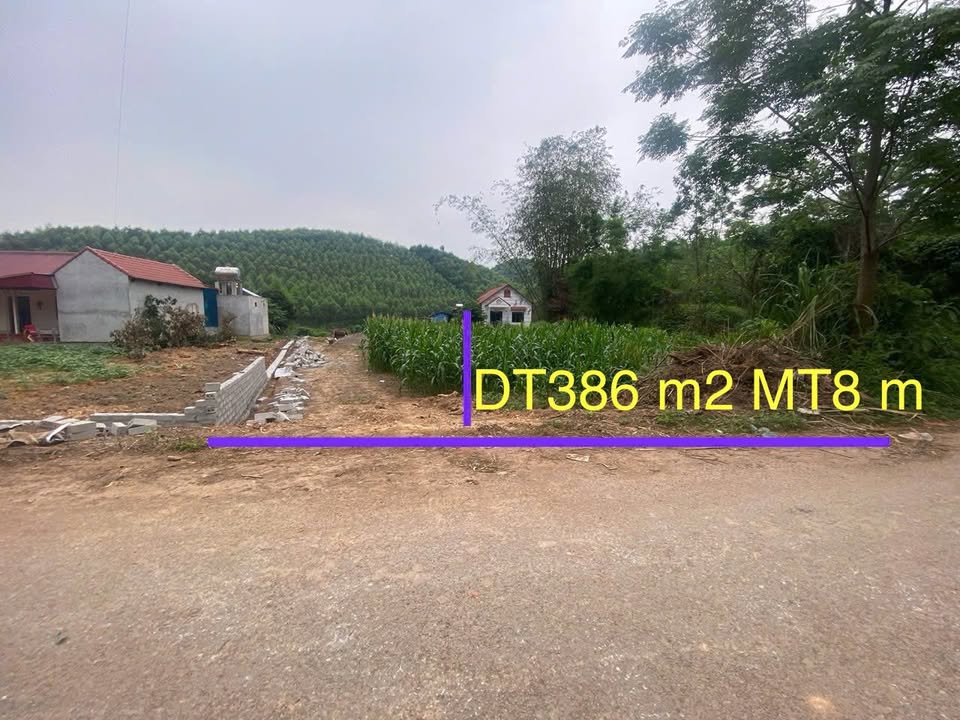 Đất nền Xuân Lương Bắc Giang 386m² giá chỉ 500 triệu - Cơ hội vàng đầu tư!