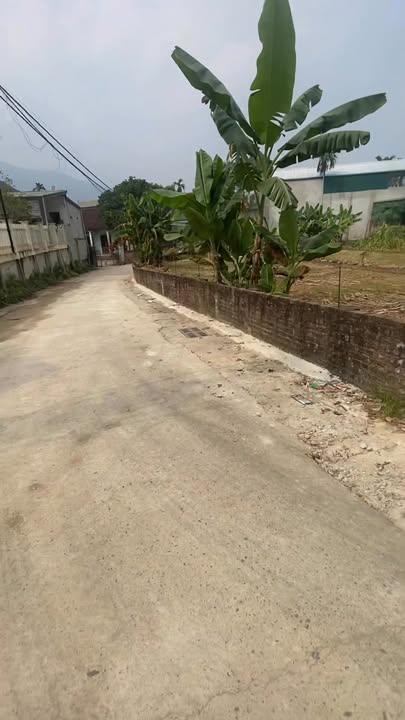 Đất nền lô góc 2 mặt tiền Tiến Xuân 255m² - Giá thỏa thuận, chính chủ bán gấp!