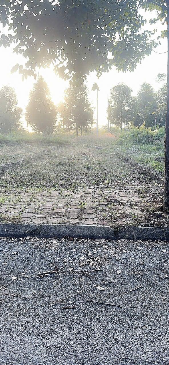 Đất nền Thạch Hòa 100m² giá thỏa thuận - Chính chủ bán gấp!