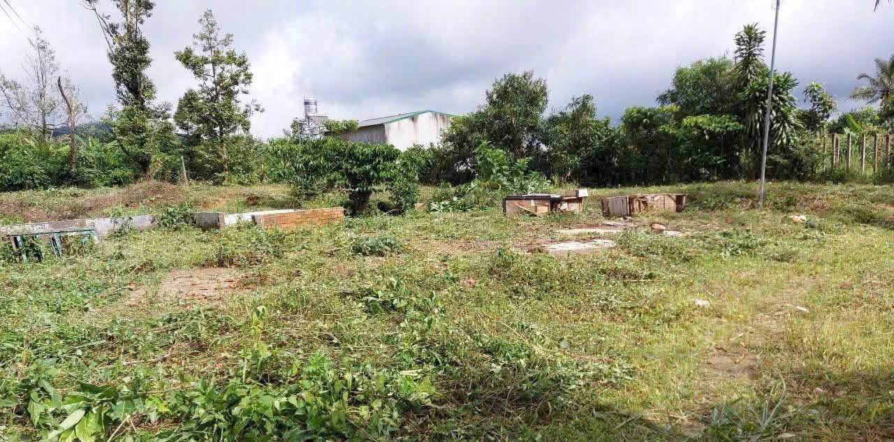 Đất thổ cư 400m² Bảo Lộc chỉ 2 tỷ - Cơ hội đầu tư tuyệt vời!