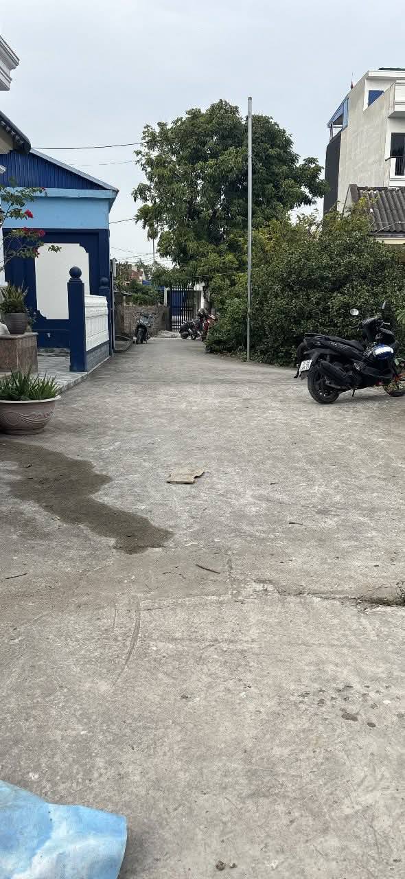 Đất nền An Đồng, An Dương 50m² chỉ 1.45 tỷ - Đầu tư kinh doanh ngay!