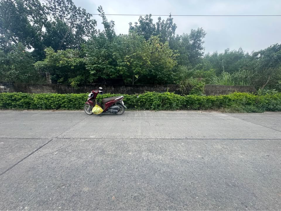 Đất liền kề tại Hồng Thái Tây, Đông Triều 115m² giá 800 triệu - Cơ hội đầu tư hấp dẫn!