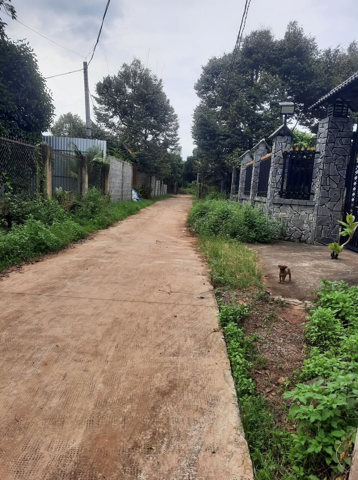 Đất nền Bảo Vinh, Long Khánh 150m² giá 779 triệu - Sổ riêng, thổ cư, đầu tư sinh lời!