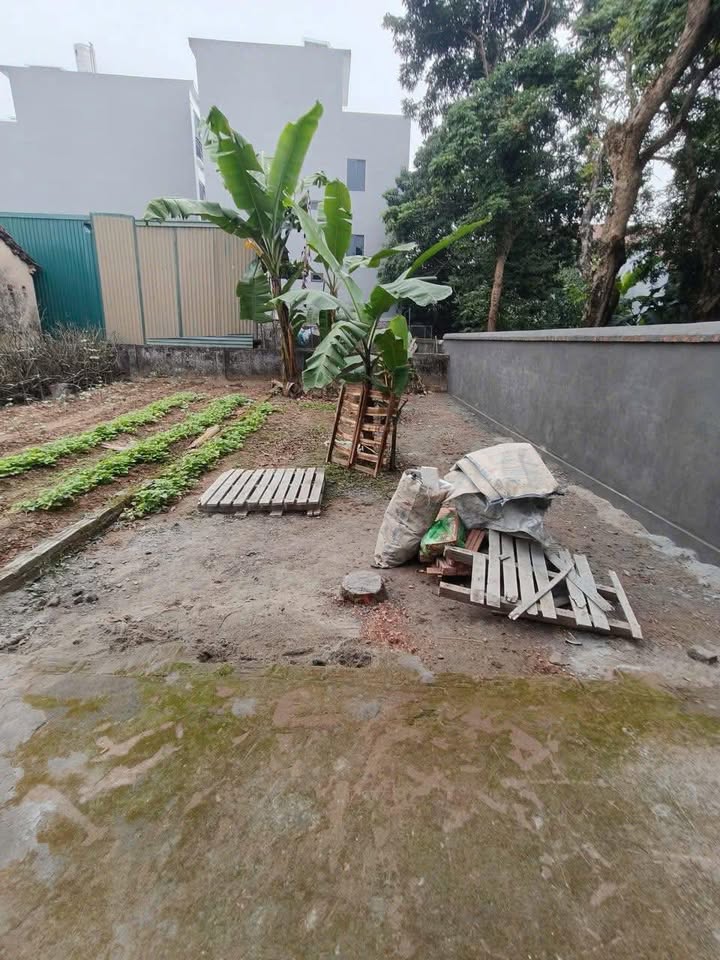 Đất nền Tiền Yên, Hoài Đức 52m² giá 2 tỷ - Cơ hội đầu tư tuyệt vời!