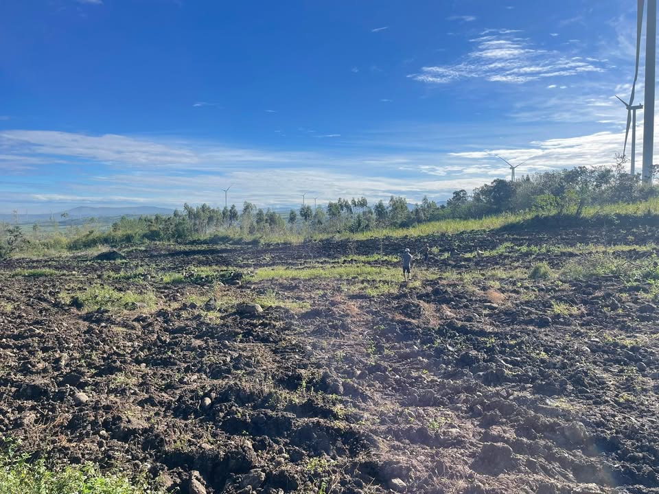 Đất trang trại 4,5ha tại xã Yang Trung, Kông Chro, Gia Lai - Cơ hội đầu tư tuyệt vời!