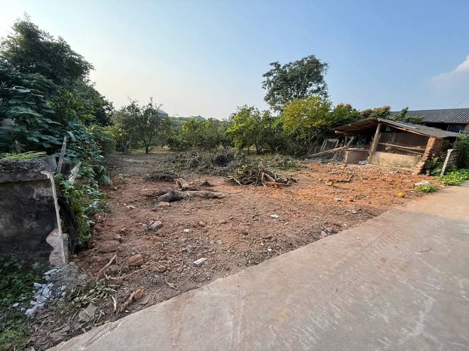 Đất nền Phượng Sơn Bắc Ninh 240m² giá chỉ 800 triệu - Đầu tư sinh lời ngay!