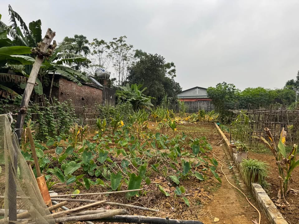 Đất thổ cư Phú Cát, Quốc Oai 460m² giá 4.6 tỷ - Mặt tiền 10m, đường ô tô