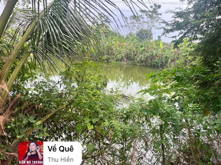 Đất nền Vĩnh Tân 10,800m² giá 1,25 tỷ - Cơ hội đầu tư tuyệt vời!