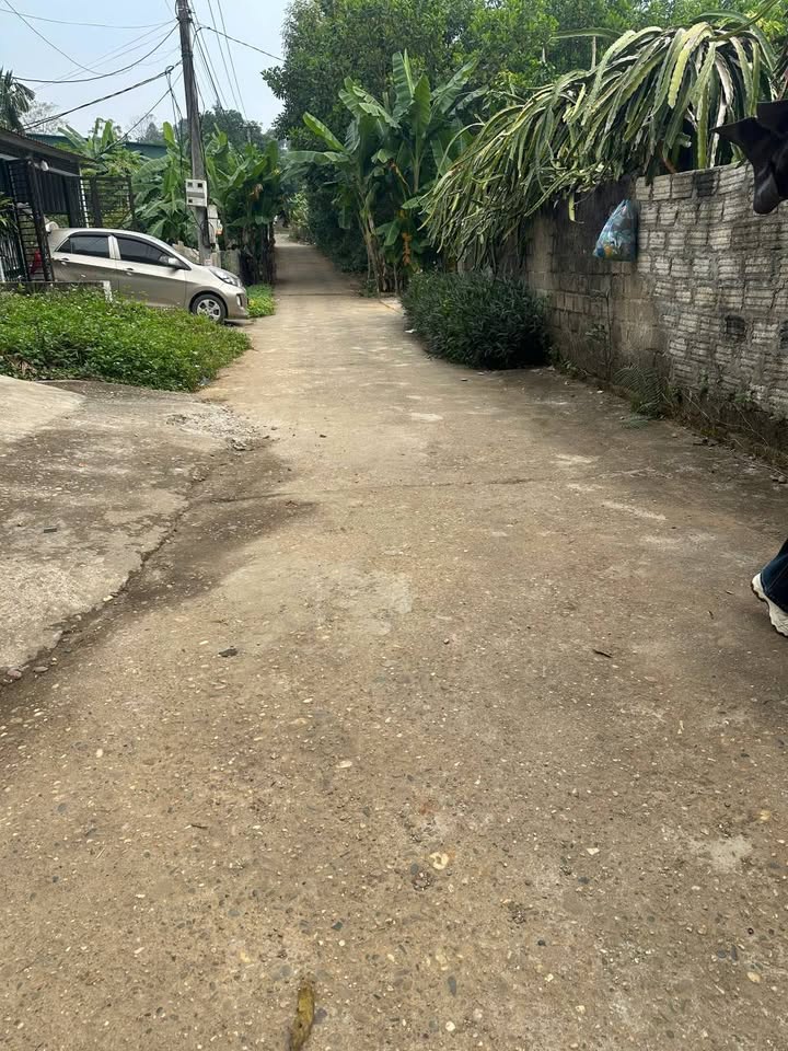 Đất thổ cư An Tường 91m² giá 800 triệu - Đường ô tô vào tận nơi!