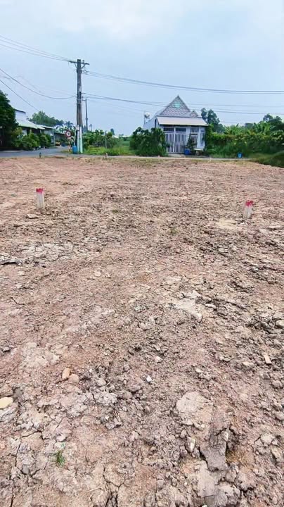 Đất nền Tân An Hội Củ Chi 113m² giá 1.48 tỷ - Sổ đỏ chính chủ, xây dựng tự do!