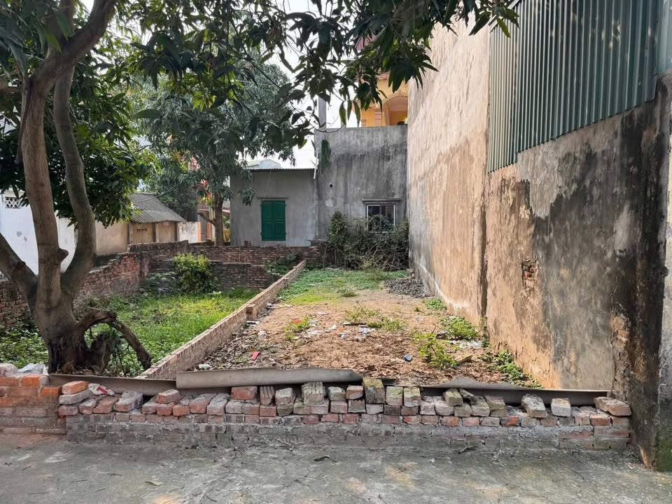 Đất nền Kiêu Kỵ, Gia Lâm 47,4m² - Pháp lý rõ ràng, giá tốt!