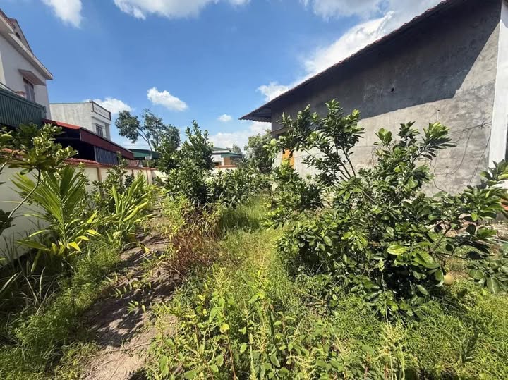 Nhà vườn 800m² tại Thị trấn Thanh Hà - Không gian sống lý tưởng!