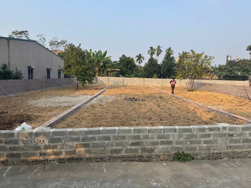 Đất thổ cư Thôn Đức Thịnh, Ba Vì 150m² giá 1,4 tỷ - Ô tô vào tận nơi!