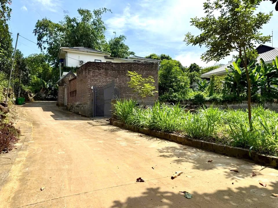 Đất thổ cư Yên Bài, Ba Vì 3700m² giá chỉ 3 triệu/m² - Đầu tư sinh lời ngay!