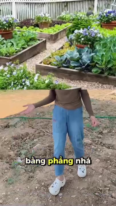 Lô đất có nhà mái thái tại Lạc Thịnh, Yên Thủy, Hòa Bình - Diện tích 435m² chỉ 1 tỷ VND!