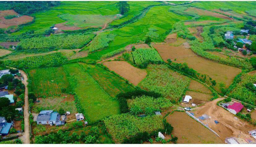 Đất nền Xóm Nhõi 3, Hợp Phong, Cao Phong 1009m² giá 1 tỷ - Đầu tư sinh lời hấp dẫn!