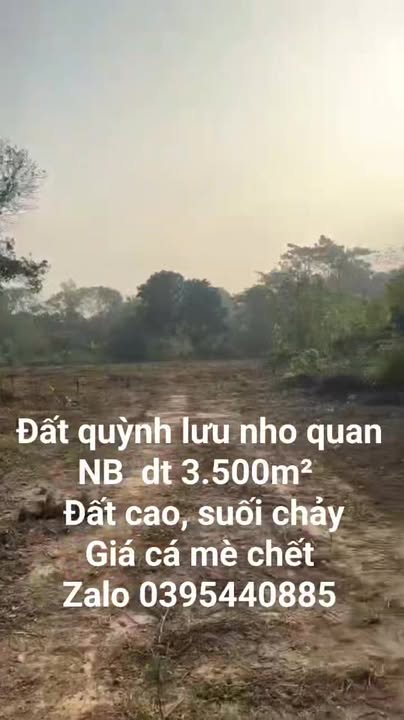 Đất nền đẹp Quỳnh Lưu Nho Quan 3.500m² - Giá thỏa thuận hấp dẫn!