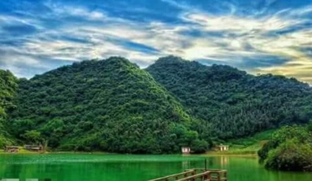 Đất trồng cây lâu năm tại Phú Long, Nho Quan 2000m² - Tiềm năng đầu tư lớn!